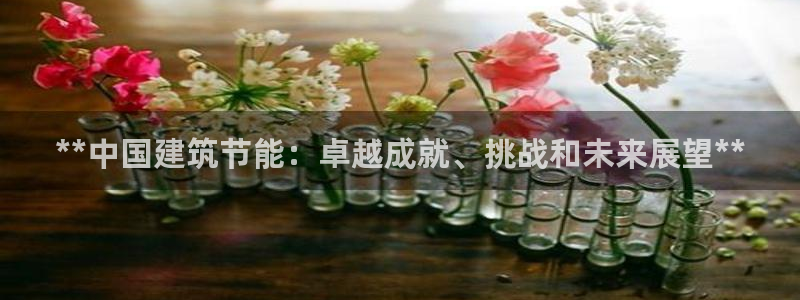 e尊国际-e尊国际官网：**中国建筑节能：卓越成就、挑战和未来展望**