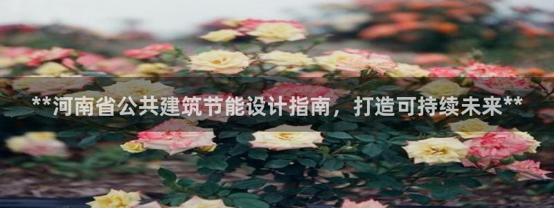 尊亿娱乐国际官网：**河南省公共建筑节能设计指南，打造可持续未来**