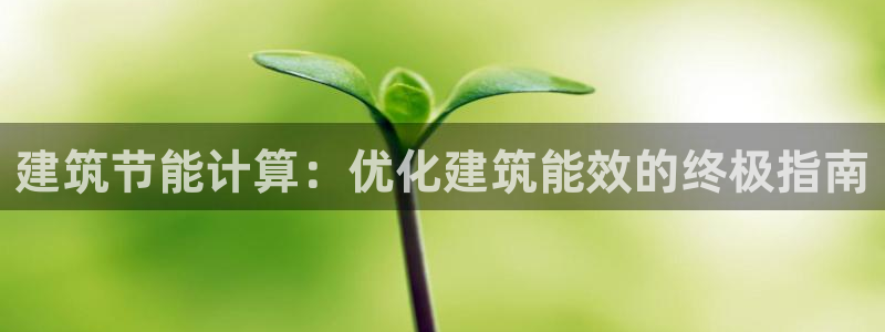 谁知道e尊国际的网址：建筑节能计算：优化建筑能效的终极指南