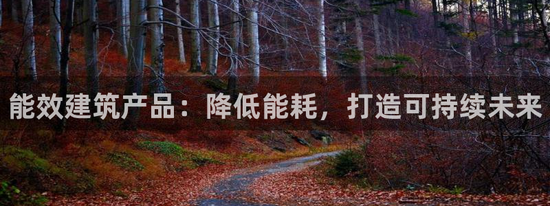 E尊国际网站：能效建筑产品：降低能耗，打造可持续未来