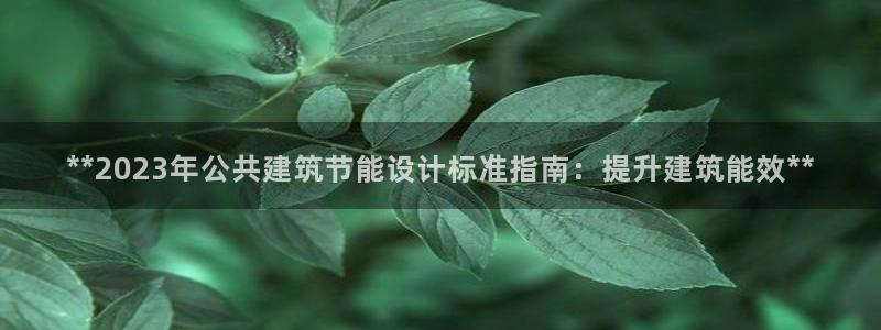 e尊体育：**2023年公共建筑节能设计标准指南：提升建筑能效**