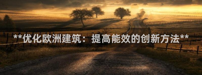 e尊官网：**优化欧洲建筑：提高能效的创新方法**