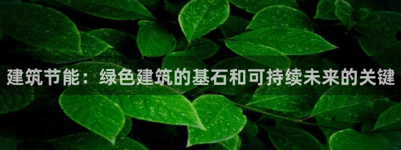 e尊国际平台：建筑节能：绿色建筑的基石和可持续未来的关键