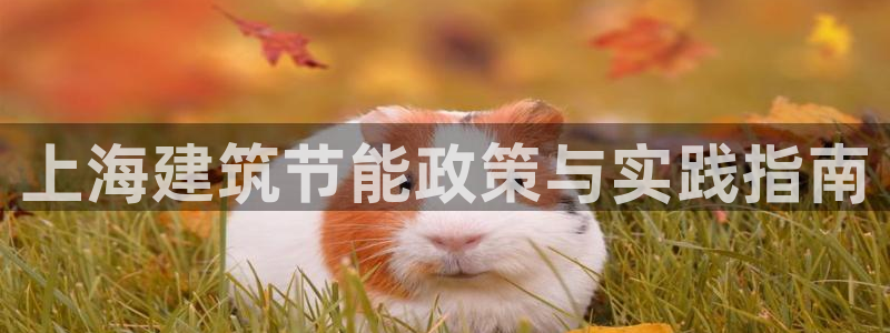 e尊国际是干什么的：上海建筑节能政策与实践指南