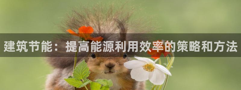 e尊国际app：建筑节能：提高能源利用效率的策略和方法