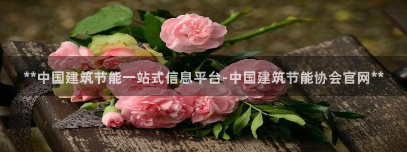 E尊国际：**中国建筑节能一站式信息平台-中国建筑节能协会官网**