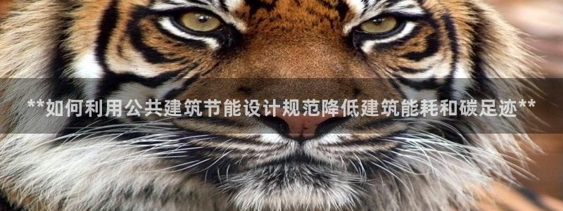 e尊国际的手机登录网站：**如何利用公共建筑节能设计规范降低建筑能耗和碳足迹**