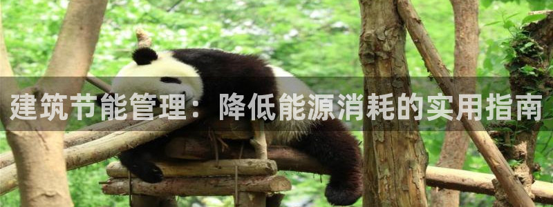 e尊国际客户端：建筑节能管理：降低能源消耗的实用指南