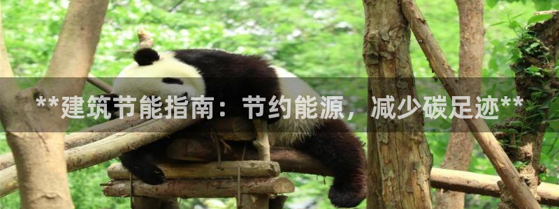 E尊国际：**建筑节能指南：节约能源，减少碳足迹**