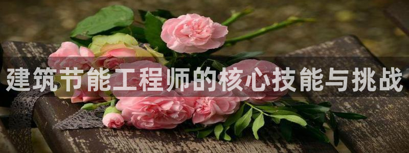 e尊国际官网·网址：建筑节能工程师的核心技能与挑战