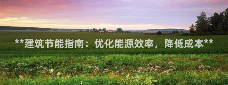 e尊国际的手机登录网站：**建筑节能指南：优化能源效率，降低成本**