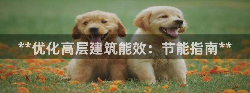 e尊国际平台：**优化高层建筑能效：节能指南**