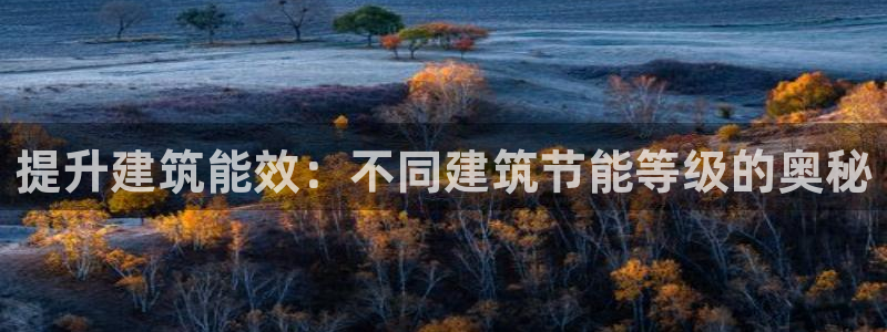e尊国际官网·网址：提升建筑能效：不同建筑节能等级的奥秘
