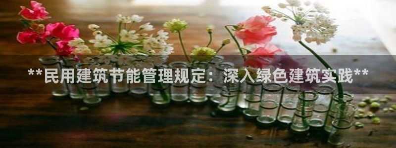 e尊国际是干什么的：**民用建筑节能管理规定：深入绿色建筑实践**