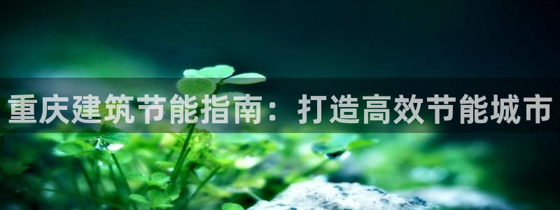 e尊平台：重庆建筑节能指南：打造高效节能城市