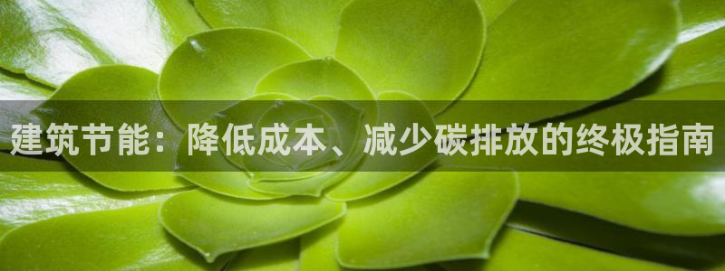 e尊国际网址：建筑节能：降低成本、减少碳排放的终极指南