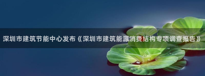 e尊国际是个黑网：深圳市建筑节能中心发布《深圳市建筑能源消费结构专项调查报告》