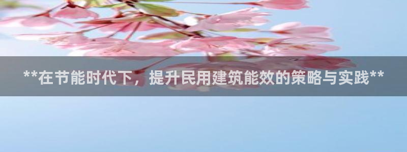 e尊国际是干什么的：**在节能时代下，提升民用建筑能效的策略与实践**