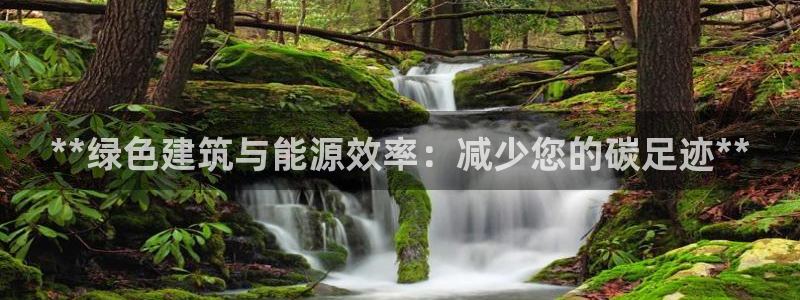 e尊国际是干什么的：**绿色建筑与能源效率：减少您的碳足迹**