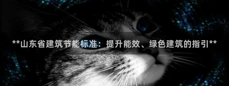 e尊国际官网：**山东省建筑节能标准：提升能效、绿色建筑的指引**