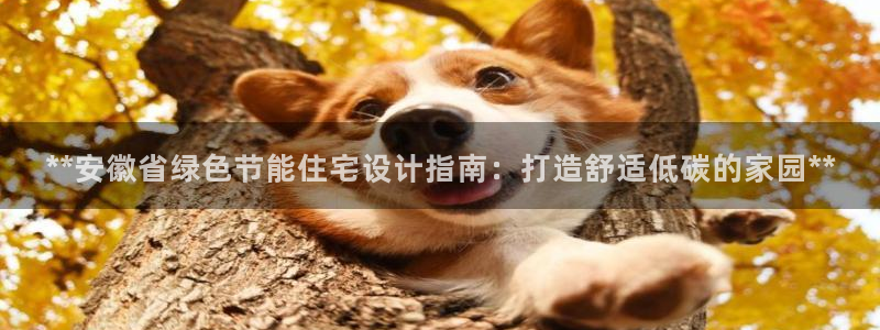 e尊国际娱乐官网地址：**安徽省绿色节能住宅设计指南：打造舒适低碳的家园**