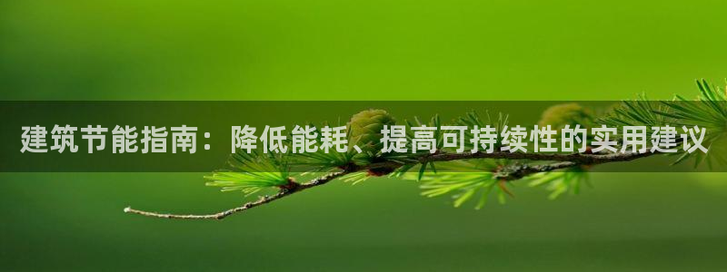 e尊官网：建筑节能指南：降低能耗、提高可持续性的实用建议
