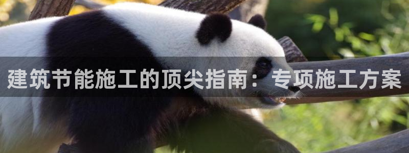 e尊国际可靠吗：建筑节能施工的顶尖指南：专项施工方案