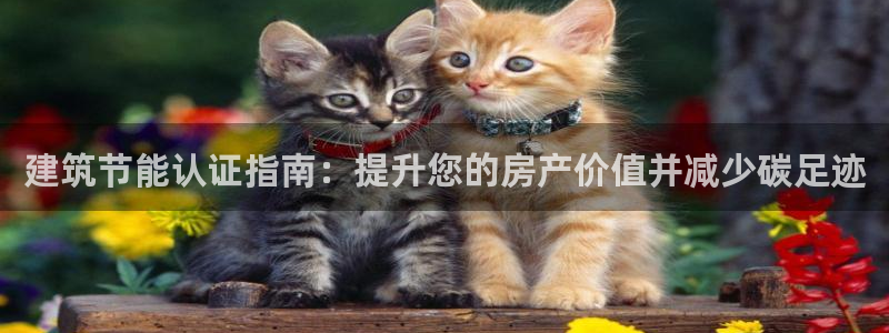 e尊平台：建筑节能认证指南：提升您的房产价值并减少碳足迹