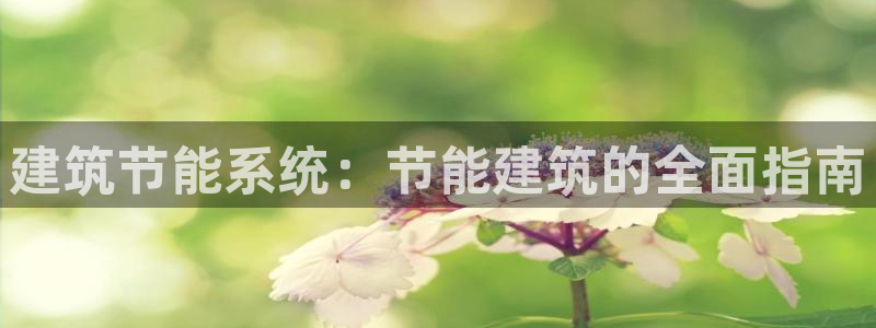 e尊国际娱乐官网下载：建筑节能系统：节能建筑的全面指南