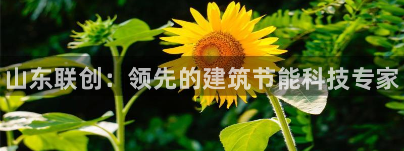 e尊国际娱乐官网下载：山东联创：领先的建筑节能科技专家