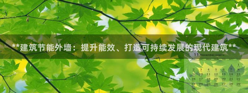e尊国际平台：**建筑节能外墙：提升能效、打造可持续发展的现代建筑**