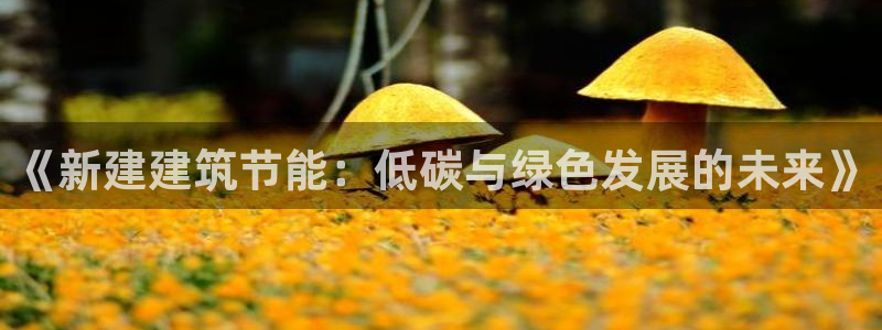 e尊国际官方网站：《新建建筑节能：低碳与绿色发展的未来》