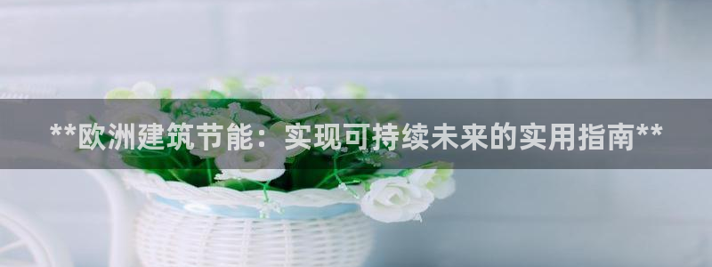 E尊国际网站：**欧洲建筑节能：实现可持续未来的实用指南**
