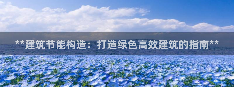 e尊国际的手机登录网站：**建筑节能构造：打造绿色高效建筑的指南**