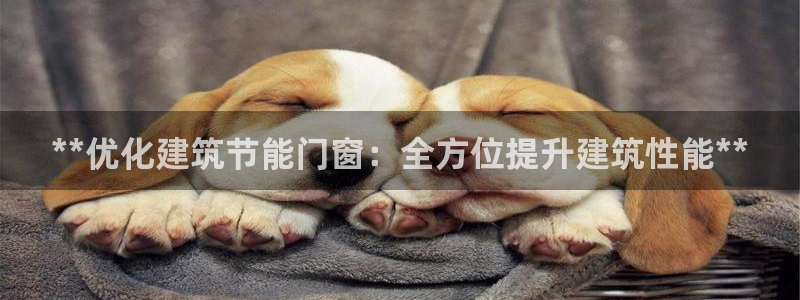 e尊平台：**优化建筑节能门窗：全方位提升建筑性能**