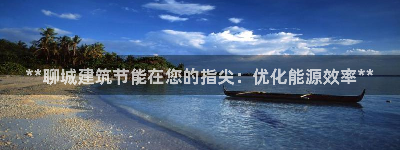 谁知道e尊国际的网址：**聊城建筑节能在您的指尖：优化能源效率**