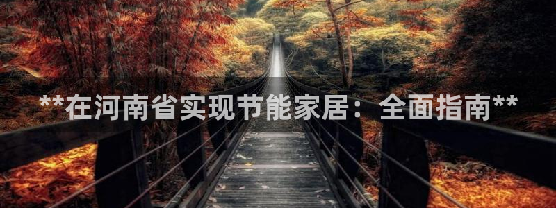 E尊国际网站：**在河南省实现节能家居：全面指南**