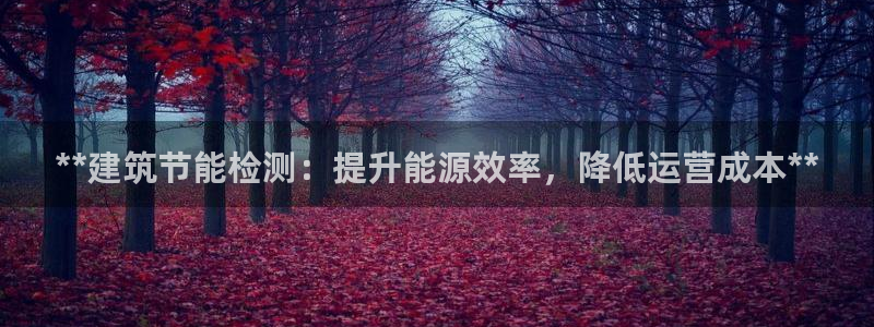 e尊国际是个黑网：**建筑节能检测：提升能源效率，降低运营成本**