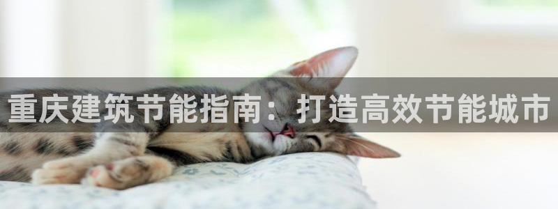 e尊国际-可可计划：重庆建筑节能指南：打造高效节能城市