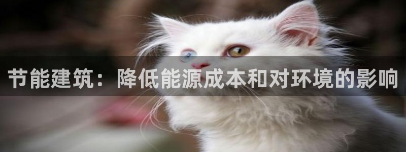 E尊国际网站：节能建筑：降低能源成本和对环境的影响
