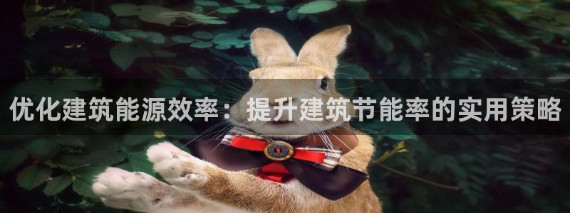 e尊国际是个黑网：优化建筑能源效率：提升建筑节能率的实用策略