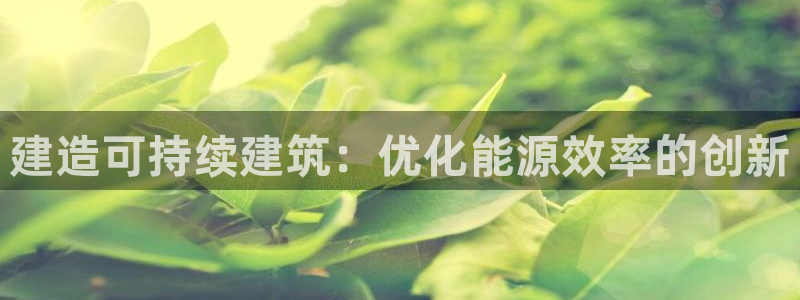 e尊国际app：建造可持续建筑：优化能源效率的创新