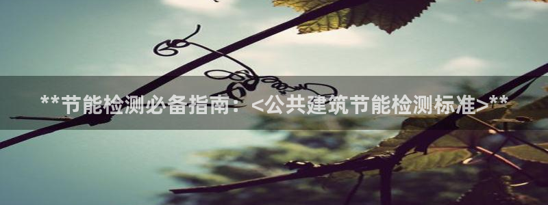 e尊国际客服：**节能检测必备指南：<公共建筑节能检测标准>**
