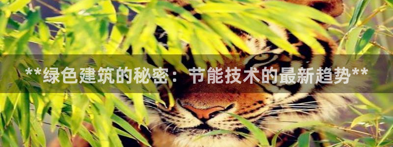 e尊国际官方网站：**绿色建筑的秘密：节能技术的最新趋势**