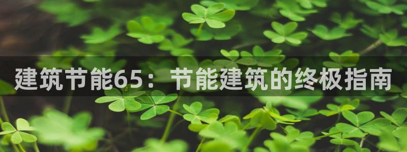 e尊官网：建筑节能65：节能建筑的终极指南