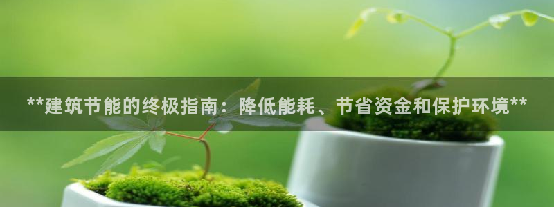 e尊国际平台：**建筑节能的终极指南：降低能耗、节省资金和保护环境**