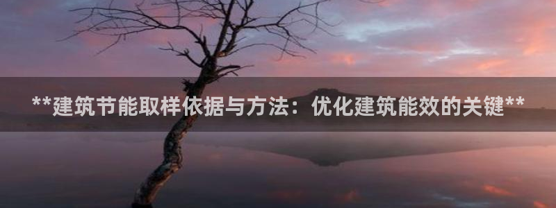 E尊国际网站：**建筑节能取样依据与方法：优化建筑能效的关键**