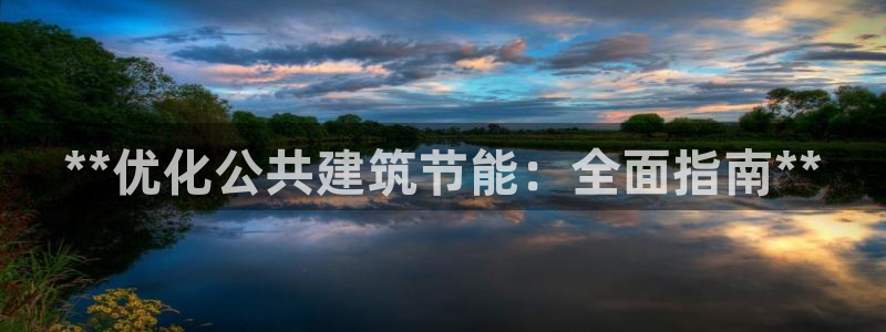 e尊国际app：**优化公共建筑节能：全面指南**
