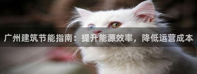 e尊国际娱乐官网地址：广州建筑节能指南：提升能源效率，降低运营成本