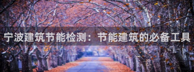 e尊国际的手机登录网站：宁波建筑节能检测：节能建筑的必备工具